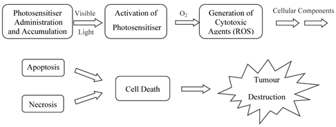 Theranostics Image