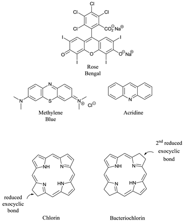 Theranostics Image