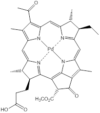 Theranostics Image