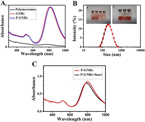 Theranostics Image