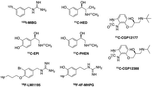 Theranostics Image