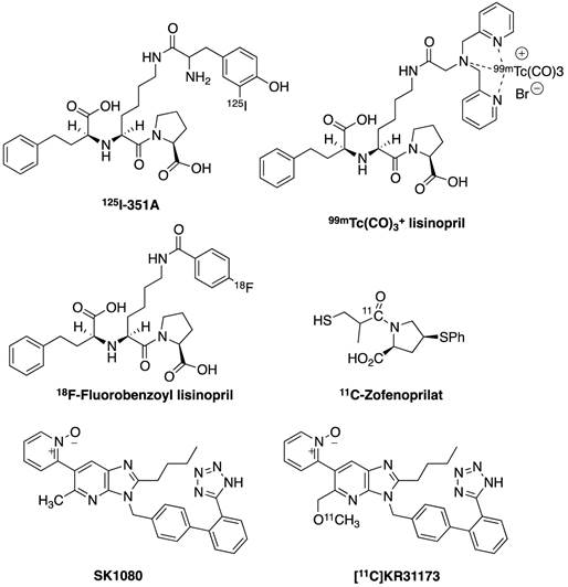 Theranostics Image