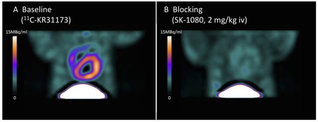 Theranostics Image