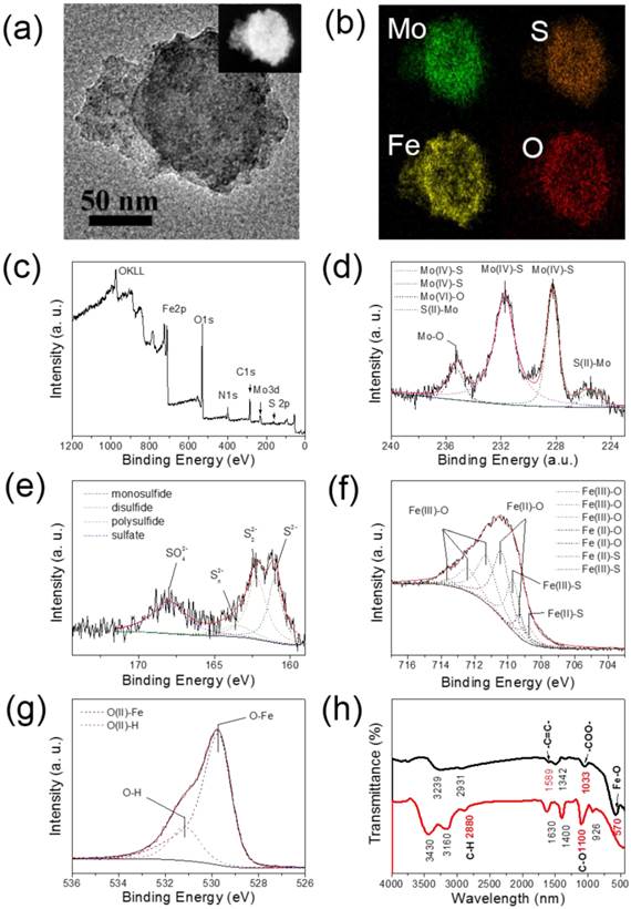 Theranostics Image