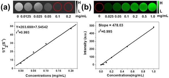 Theranostics Image