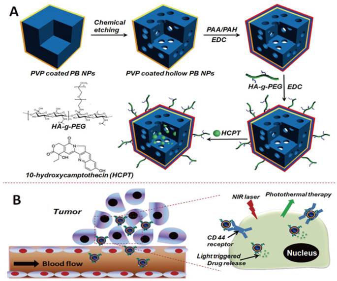 Theranostics Image