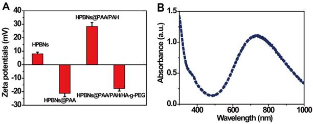 Theranostics Image