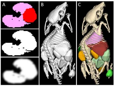 Theranostics Image