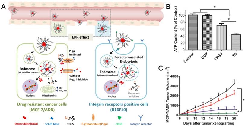 Theranostics Image