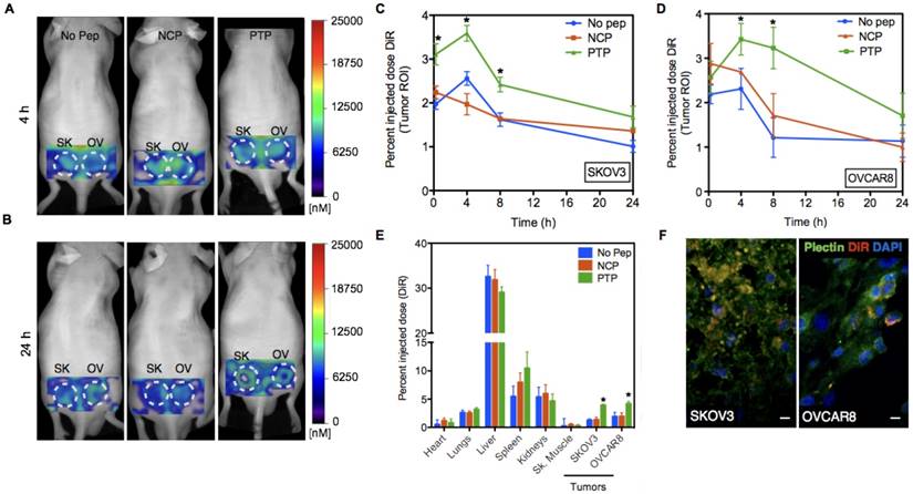 Theranostics Image