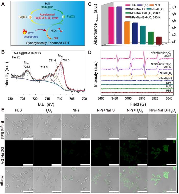 Theranostics Image