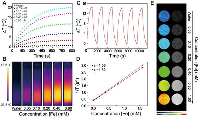 Theranostics Image