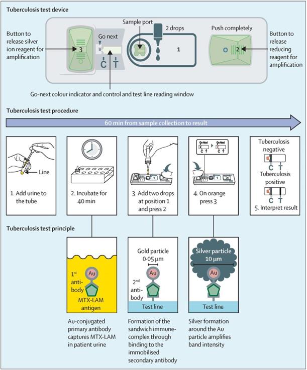 Theranostics Image