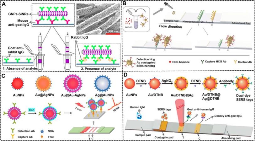 Theranostics Image