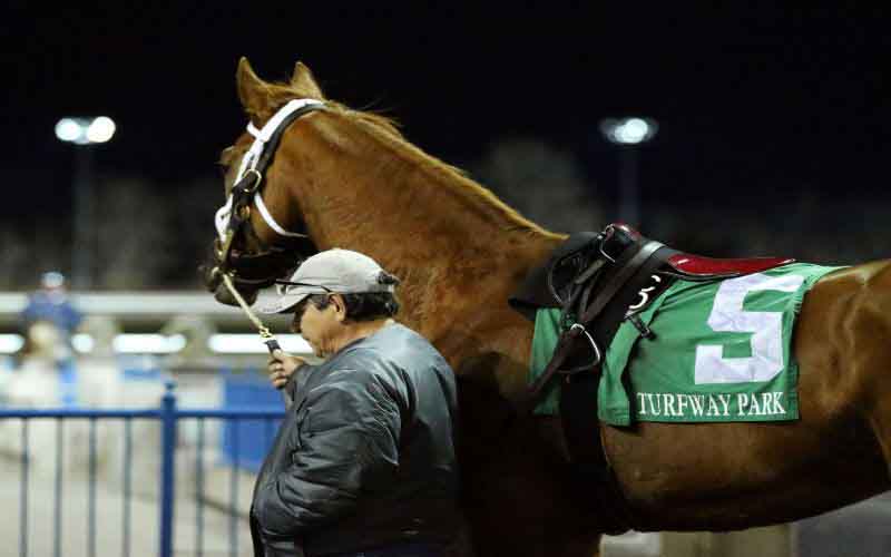 Scratches and changes at Turfway Park in Florence, KY