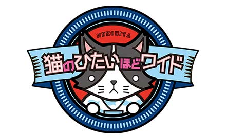 猫のひたいほどワイド