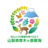 青木ヶ原樹海サイト