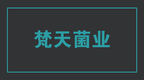 食品行业盐城亭湖区工作服设计款式