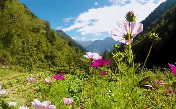 重庆到四川旅游_[特价纯玩]川西孟屯河谷康养五/十日旅游[深度户外徒步]<纯玩特价川西旅游，孟屯河谷康养五/十日游，入住核心景区内，徒步游孟屯河谷未经开发的老君沟+高桥沟+古战场+高山草甸！>