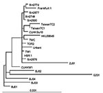 Thumbnail of Phylogenetic tree obtained by applying PAUP* (maximum-likelihood methods using the p-distance model) applied to complete genome sequences of the severe acute respiratory syndrome–associated coronavirus (SARS-CoV) HSR1 strain and the 21 other SARS-CoV isolates.