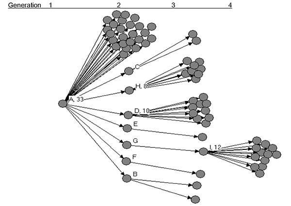 Probable cases of severe acute respiratory syndrome by source of transmission in chain of 77 cases in Beijing, 2003.