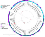 Phylogenetic tree of the DNA sequences of Plasmodium falciparum and Plasmodium vivax (red text) isolated from traveler returning to Colombia from the Comoros Islands, 2024, and compared with sequences reported from other countries. The red points on the tree represent bootstraps 