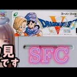 #8【ドラクエ5】天空の花嫁☆完全初見プレイ(*˙˘˙*)♪【DRAGON QUEST V】