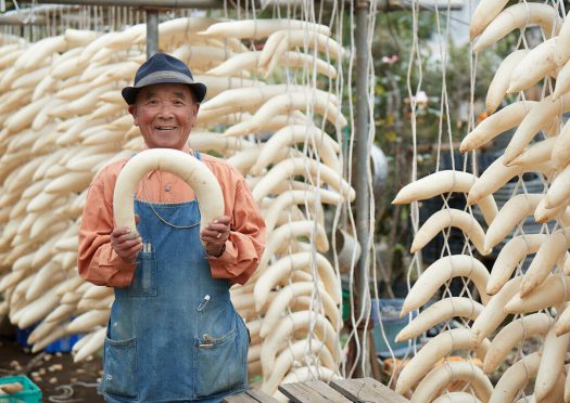 江戸時代から続く練馬ダイコン栽培を守る渡戸 章さんの絶品たくあん漬け