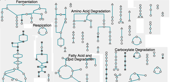 a
			   portion of a Cellular Overview diagram,
			   showing several pathway classes