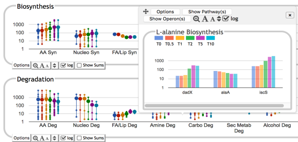 A portion of an Omics Dashboard display,
				showing panels for Biosynthesis and
				Degradation, and a popup showing details
				for L-alanine biosynthesis.