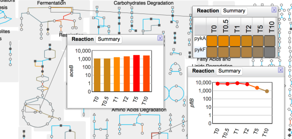 a portion of a cellular overview diagram,
			   overlaid with a gene expression time series
			   dataset. Detail popups are shown for three
			   reactions in three different styles: a bar
			   chart, a heatmap, and a line graph.