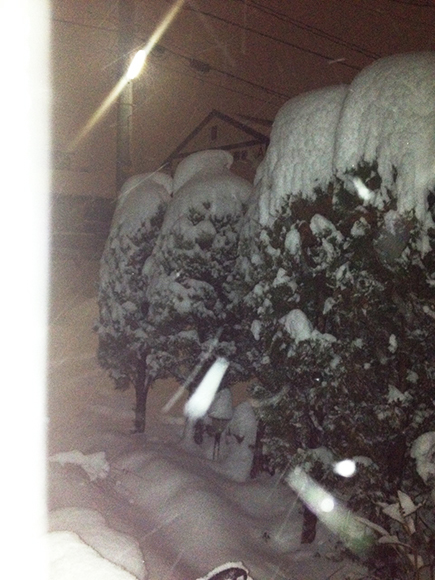 【雪情報】全国的に例年にない積雪！ 東北だけど近年大雪が降らなかった福島県郡山市の様子