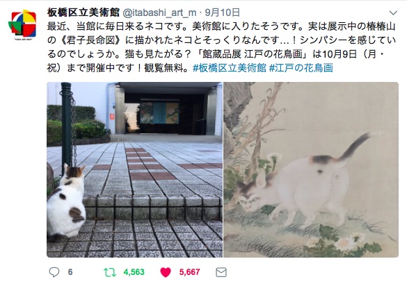 「見せてほしいニャ…」板橋区立美術館に “展示中の作品とそっくりの猫” がやってくるらしい → ホンマや!!!!!