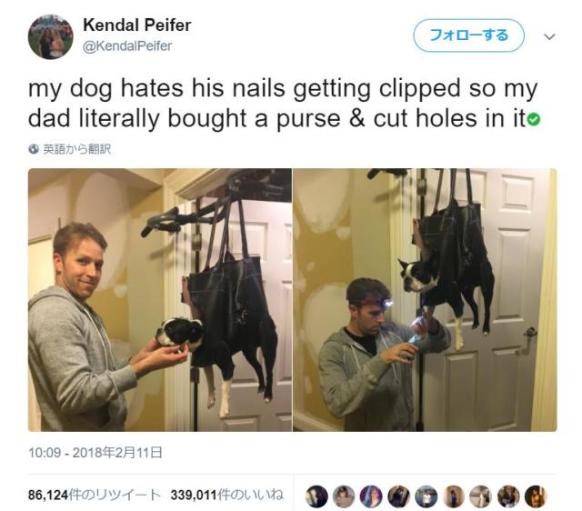 「解せぬ…」爪切り嫌いの愛犬のために飼い主がナイスアイディア!? ワンコのあきらめ具合にジワリ