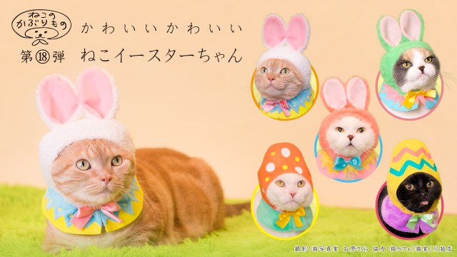 【ねこのかぶりもの】ニャンコがカラフルなうさぎと卵に変身!? 「かわいいかわいいねこイースターちゃん」が悶絶級のかわいさ