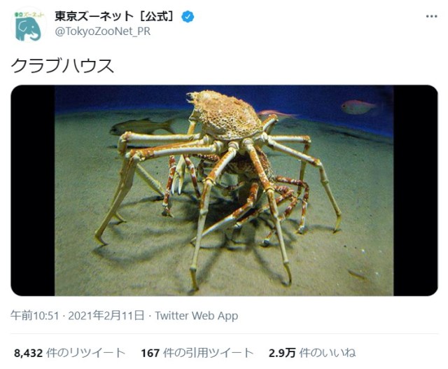 これがホントのクラブハウス!? カニの生態も学べるガチなクラブハウスを東京ズーネットが投稿して大人気に