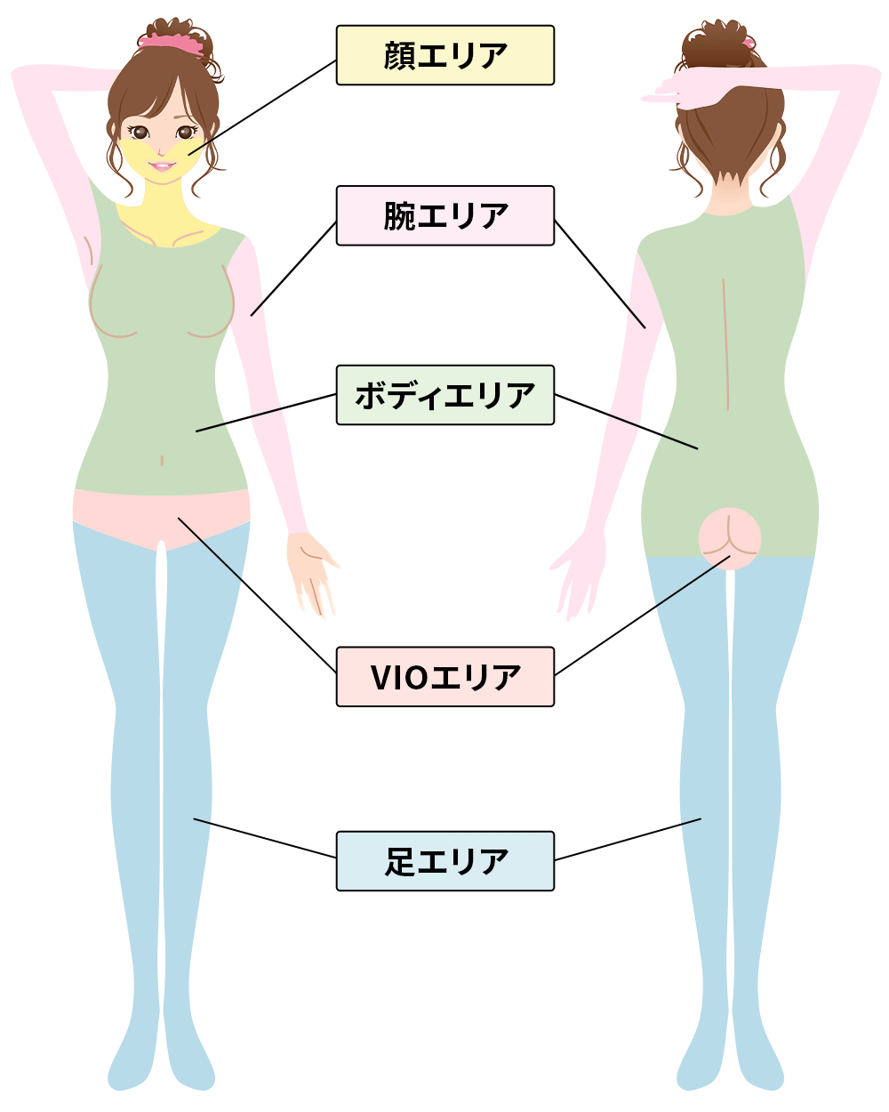 エリア脱毛範囲説明画像（腕・足・ボディ）