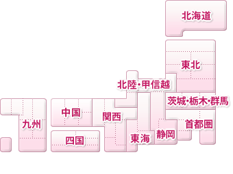 版選択