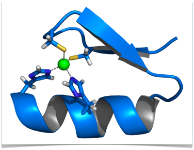 C2H2 Zinc Finger Domain