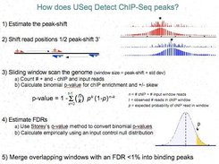 USeq ChIP-Seq Algorithm 1