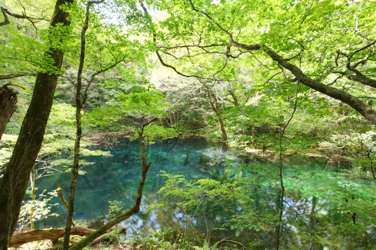 五能線の旅～日本海の絶景とグルメでパワーチャージ！～