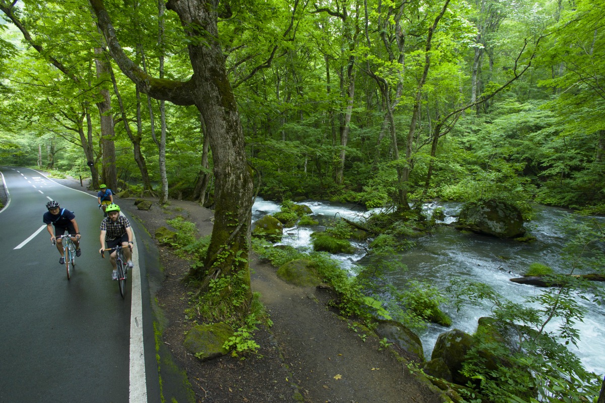  十和田・奥入瀬渓流 千変万化にうつろう渓流を抜け、神秘の湖へ【サイクリングコース】