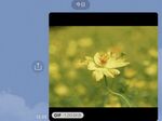 LINEでGIFアニメを作って送る方法がとっても簡単！