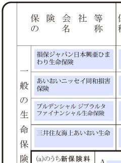 「令和6年分 給与所得者の保険料控除申告書」入力用PDFファイルの保険会社等の名称欄に「プルデンシャル ジブラルタ ファイナンシャル生命保険」などの長い保険会社名を記入してみたところ