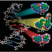 Installing artificial nucleotide base pairs in DNA 2