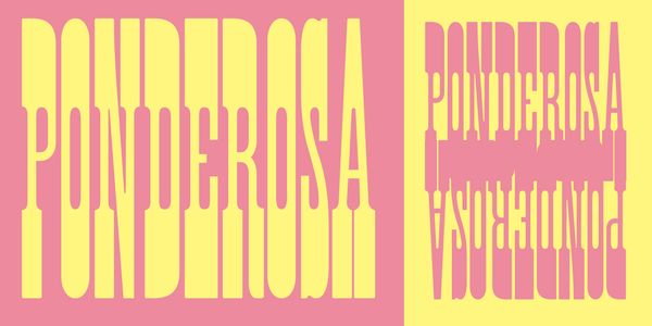 Card displaying Ponderosa Std typeface in various styles