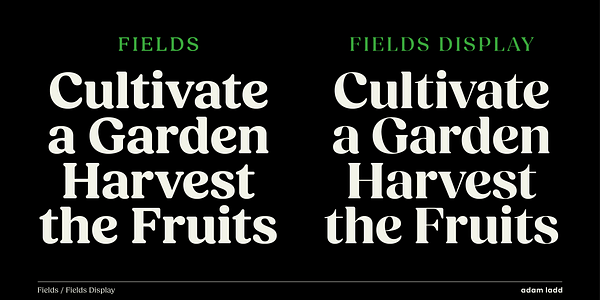 Card displaying Fields typeface in various styles