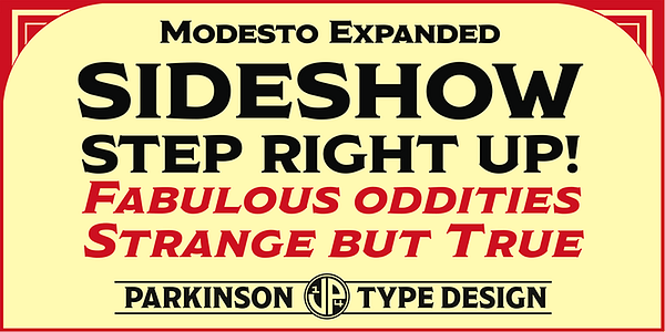 Card displaying Modesto typeface in various styles