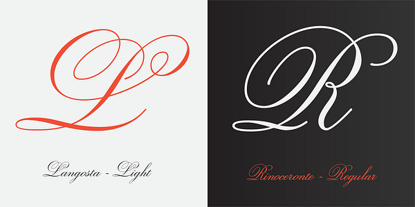 Card displaying Sweet Fancy Script typeface in various styles