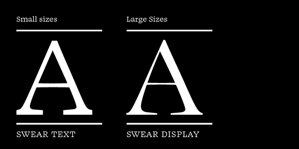 Card displaying Swear Display typeface in various styles